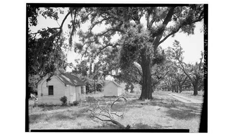 mcleod plantation enslaved descendants.